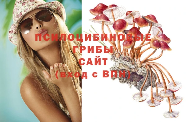 каннабис Дмитриев