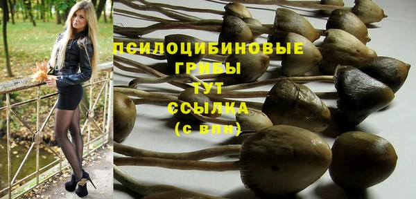 МДМА Дмитровск