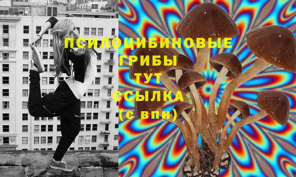МДМА Дмитровск